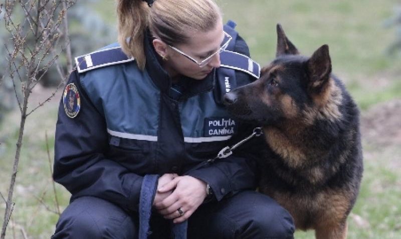 Demonstraţii canine şi prezentări de logistică, de Ziua Poliţiei Române