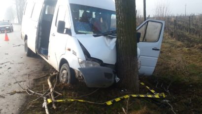 TULCEA: Accident de microbuz la Agighiol cu elevi răniţi!