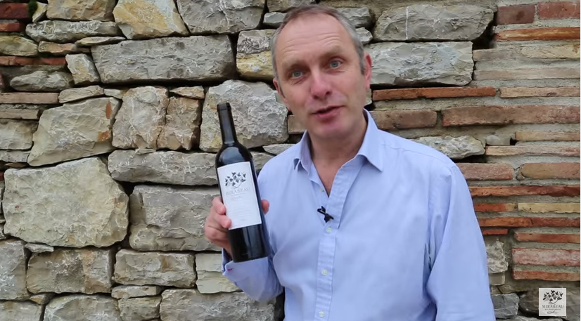 VIDEO: Cum deschizi o sticlă de vin fără tirbușon