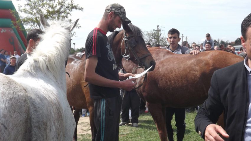 (FOTO) Cai, munți, dans, muzică, bucate tradiționale, de 1 Mai, la Cerna