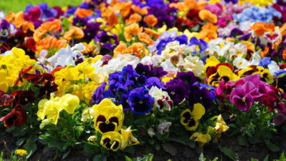 HOROSCOP 16 aprilie 2015