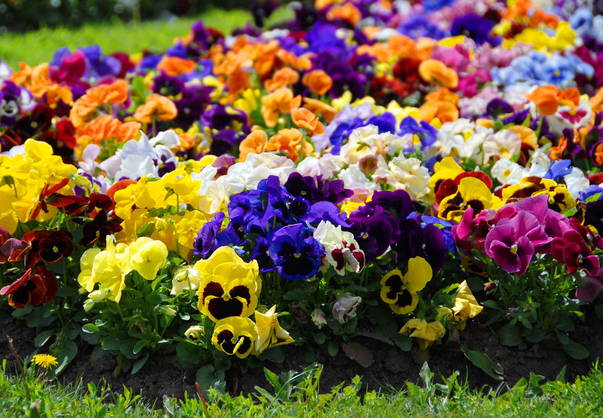 HOROSCOP 16 aprilie 2015