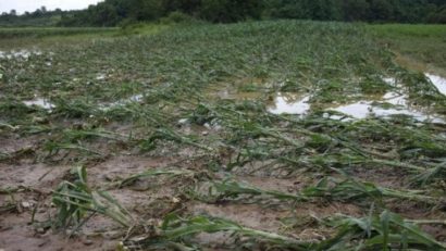 Lucrările agricole de primavară întârzie în Dobrogea