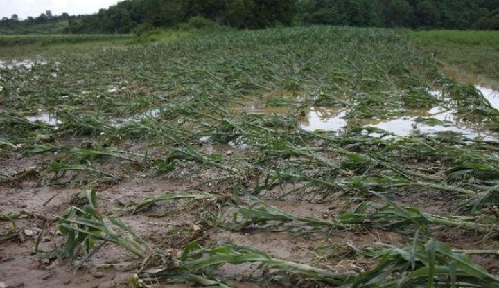 Lucrările agricole de primavară întârzie în Dobrogea