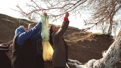 (AUDIO+FOTO) Maria Stîngă despre Pomul dorințelor