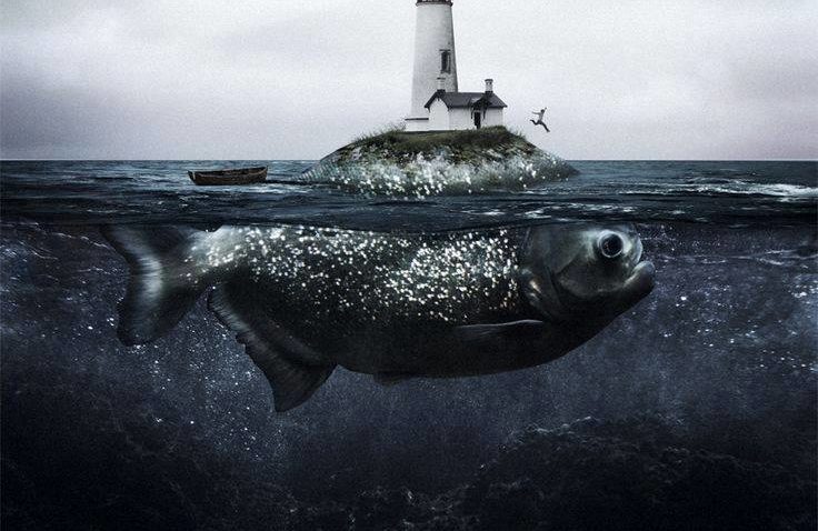 Fish Eye Fest, la Vama Veche: gastronomie şi ateliere creative