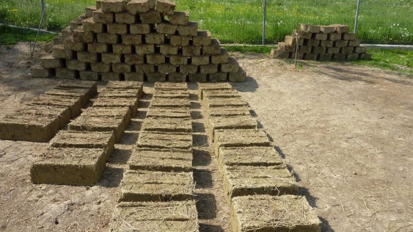 Chirpiciul tradițional ar putea revigora economia dobrogeană