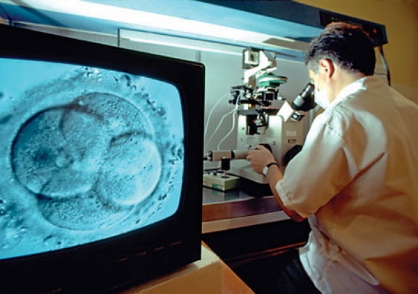 Se reia programul de Fertilizare in vitro