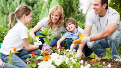 Micii botanişti – viitorii ecologişti