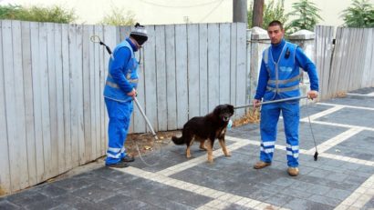 Ce maşini folosesc hingherii din Constanţa