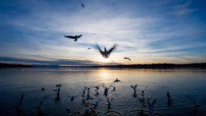 Vreme plăcută, miercuri, în Dobrogea