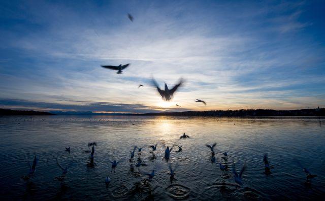 Vreme plăcută, miercuri, în Dobrogea