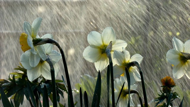 20 de grade Celsius pe plajă şi câteva reprize de ploaie în mini-vacanţa de 1 Mai