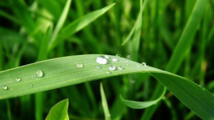 Sâmbătă scad temperaturile în Dobrogea. Vin ploile