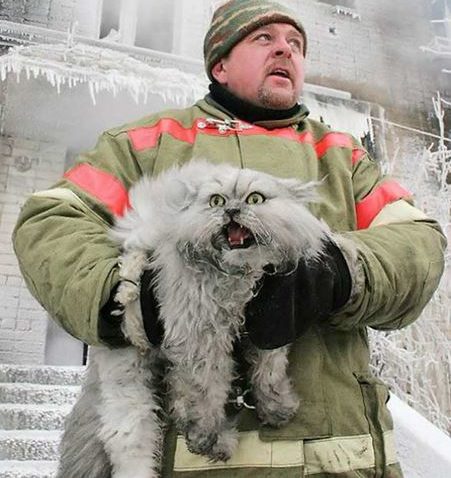 FOTO: Dacă Tom arăta aşa, Jerry ar fi avut o problemă