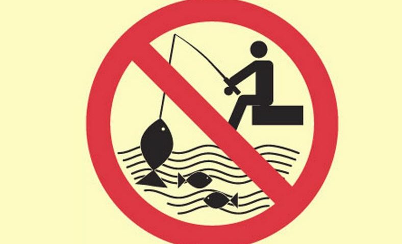 (AUDIO) Sâmbătă începe prohibiţia la pescuit