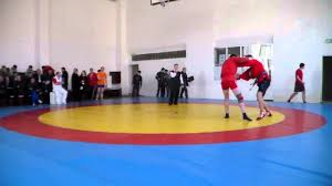 Sportivii constănțeni au cucerit douăsprezece medalii la Cupa Sambo