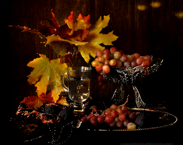 HOROSCOP 5 iunie 2015