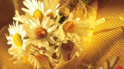 HOROSCOP 26 mai 2015