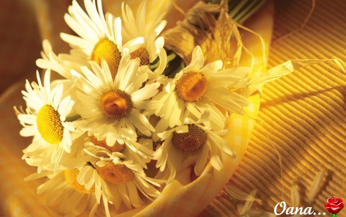 HOROSCOP 26 mai 2015