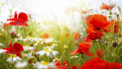 HOROSCOP 23 mai 2015