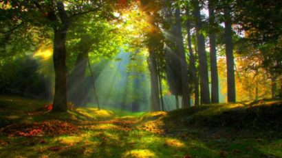 HOROSCOP 27 mai 2015