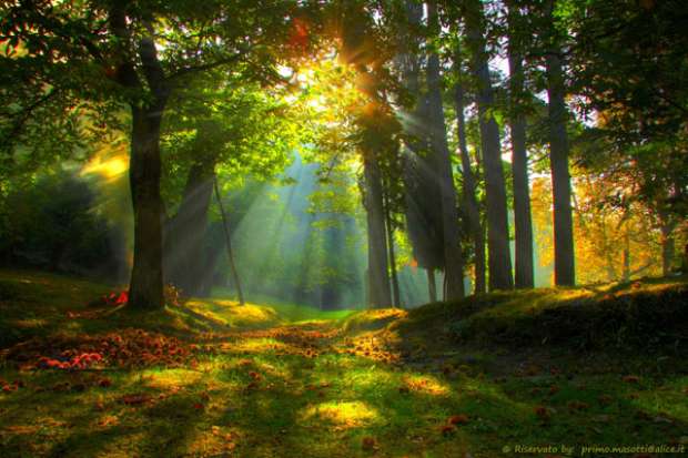 HOROSCOP 27 mai 2015