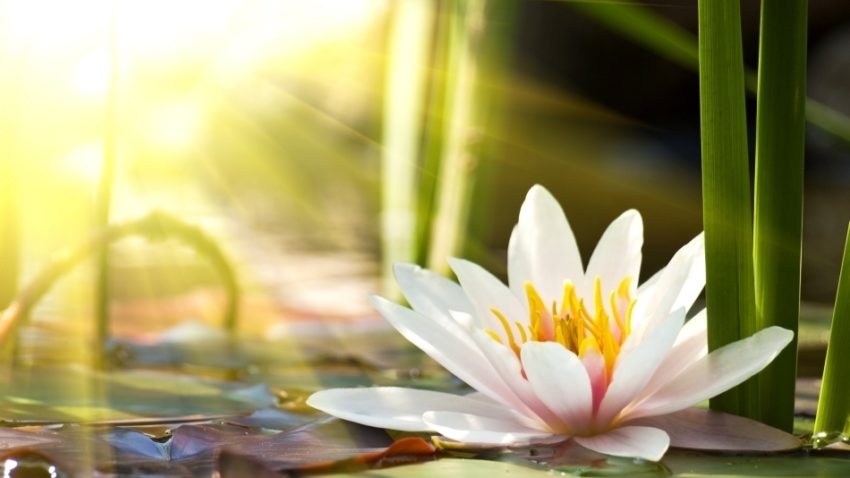 HOROSCOP 13 mai 2015