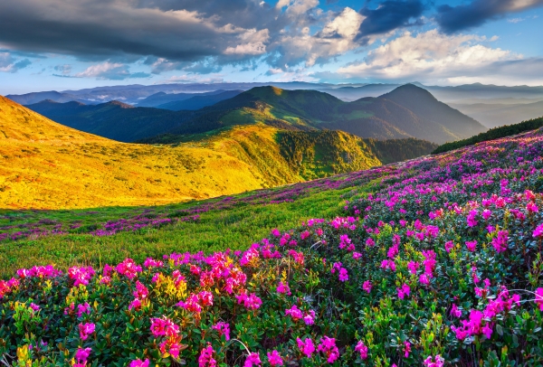 HOROSCOP 30 mai 2015