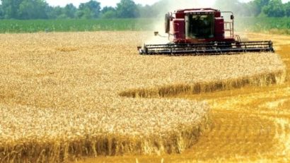 APIA are bani de dat. Subvenţii pentru agricultura ecologică