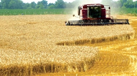 APIA are bani de dat. Subvenţii pentru agricultura ecologică