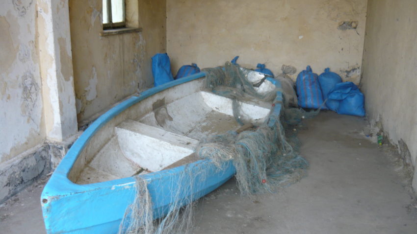 Braconieri pe lacul Oltina şi pe Dunăre