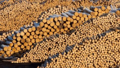 Schweighofer Holzindustrie s-ar putea retrage din România