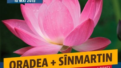 Premieră în România. REFERENDUM pentru unirea a două localități