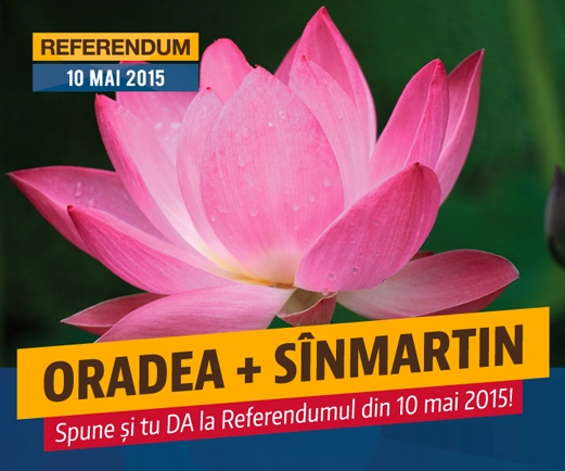 Premieră în România. REFERENDUM pentru unirea a două localități