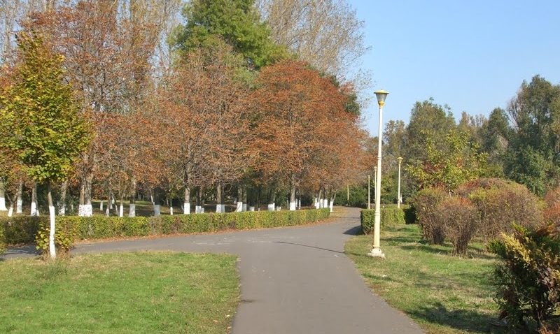 „Paşapoartele de parc ” – documente împărţite copiilor de elevii unui liceu din Constanţa