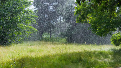 Informare meteo: de luni, vin ploile!