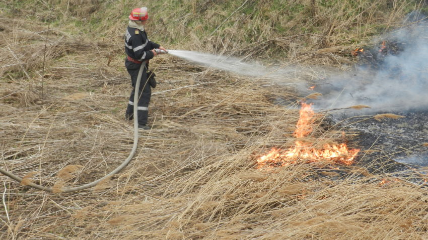 UPDATE: Incendiu de vegatație uscată în Mamaia (foto)