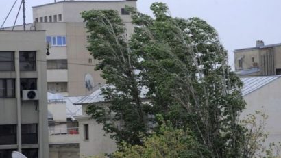 Cod galben de vânt puternic în Dobrogea