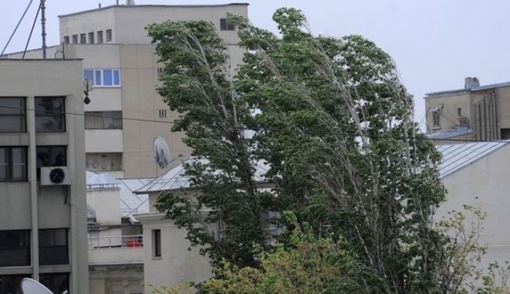 Cod galben de vânt puternic în Dobrogea