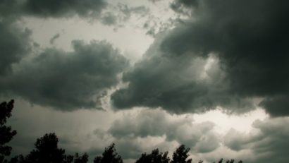 Cod galben în Dobrogea: vijelie şi grindină