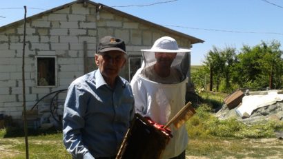 Mierea de albină din Dobrogea este cerută în străinătate