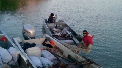 FOTO: Trei tone de melci rapana confiscate de la contrabandiști