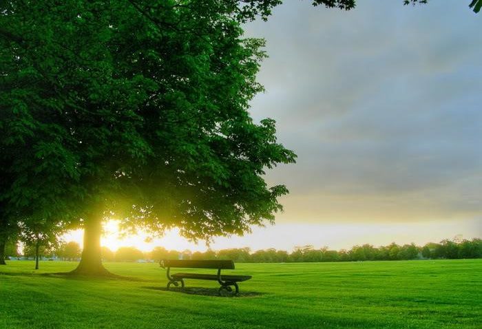 HOROSCOP 16 iunie 2015