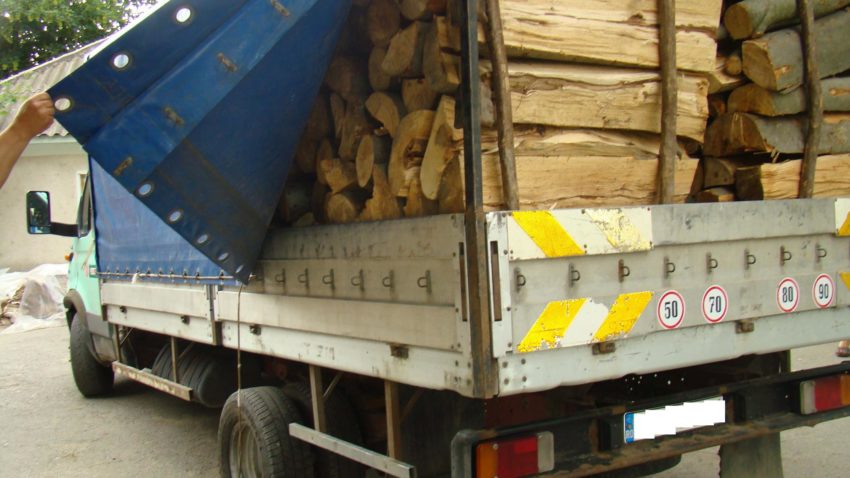 FOTO: Transport ilegal de material lemnos, oprit la Cernavodă