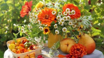 HOROSCOP 17 iulie 2015