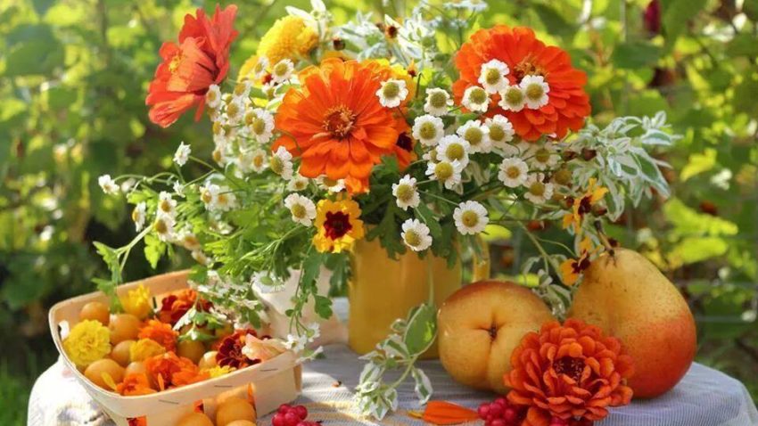 HOROSCOP 17 iulie 2015