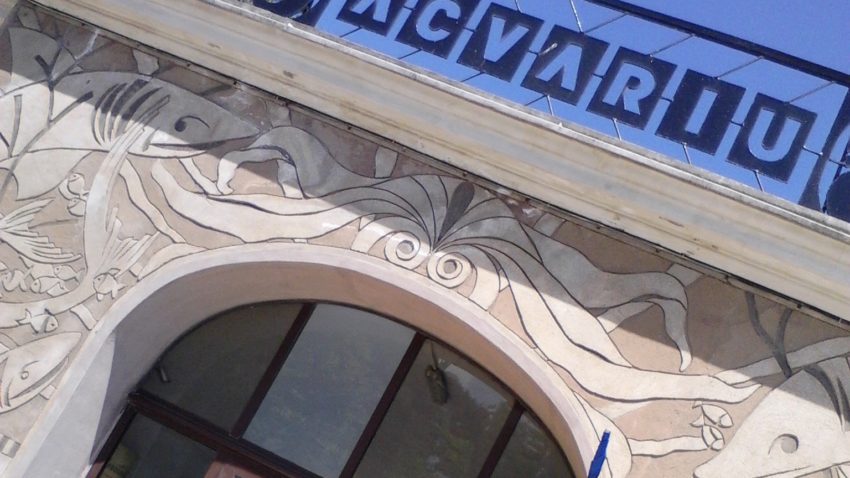 D`ale turiştilor. Peştişori, copii şi amintiri la conservă