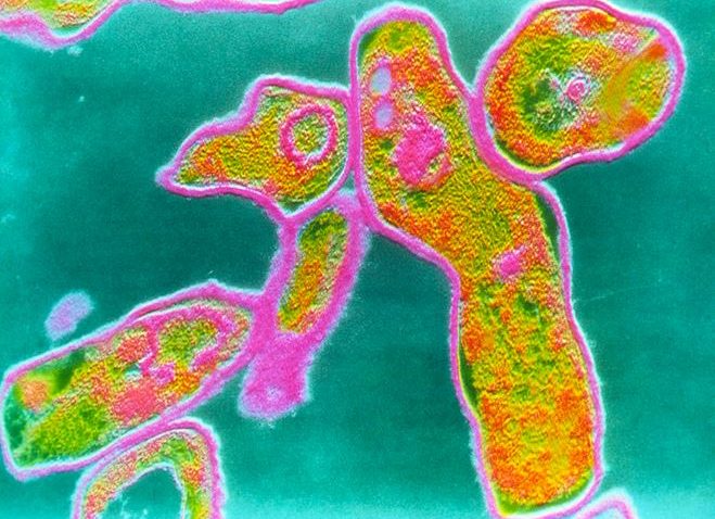Efectele refuzului vaccinării: în Spania a reapărut o boală foarte gravă