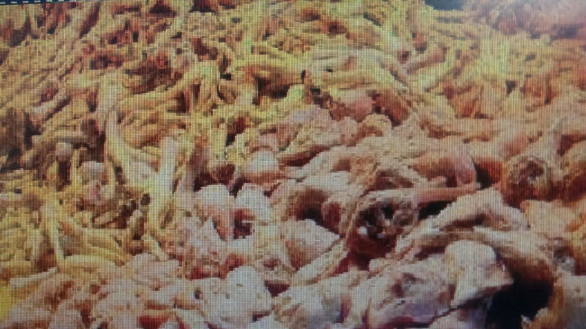 Tone de carne confiscate de la un abator din Mangalia